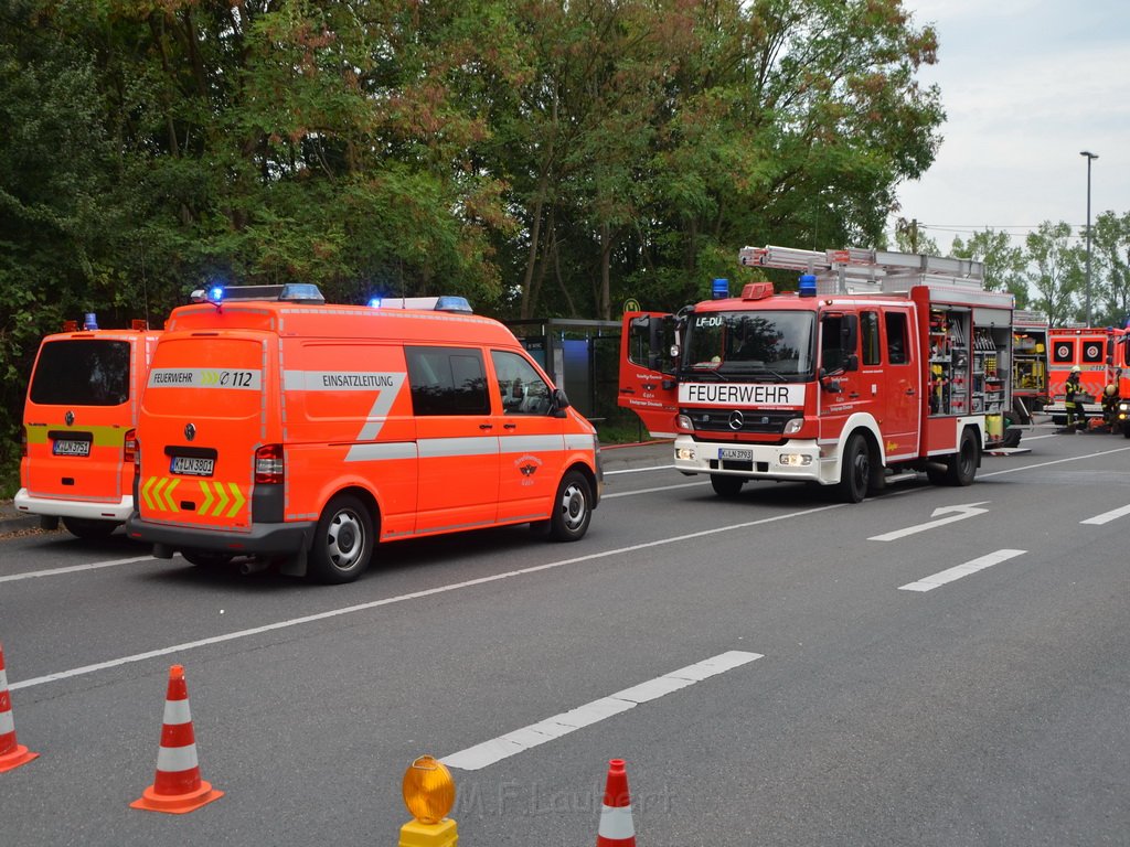 PKlemm Koeln Duennwald Am Weissen Moench Duennwalder Kommunalweg P04.JPG - Miklos Laubert